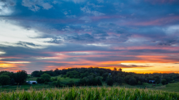 Iowa landscape