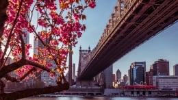 NYC bridge view