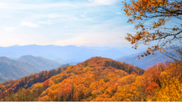 Tennessee Smokey Mountains in Autumn